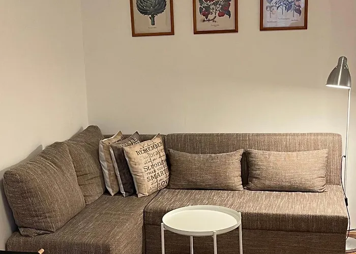 Apartment Slavikova 11