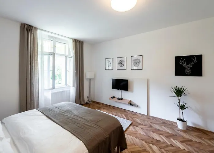 Apartment Slavikova 11