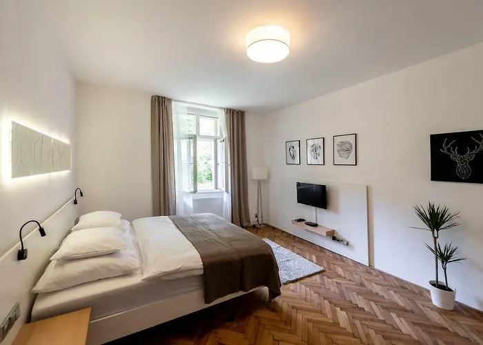 Apartment Slavikova 11